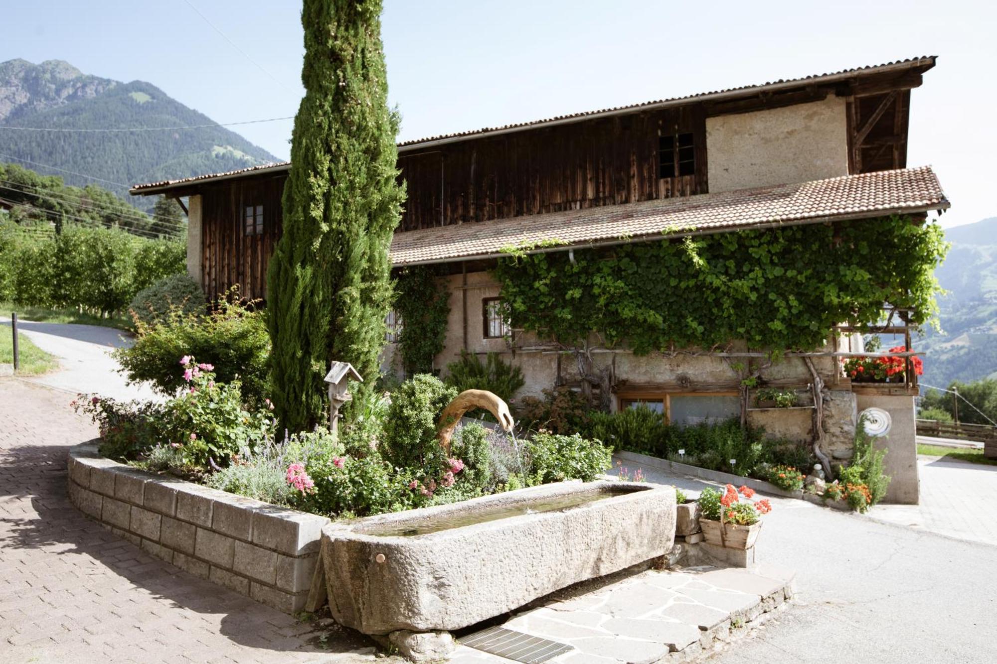 Noessinghof Bed and Breakfast Τιρόλο Εξωτερικό φωτογραφία